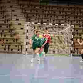 fa frauen 2 - hsg leinfelden-echterdingen 29.01.2023