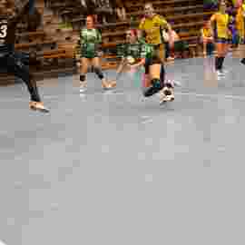 fa frauen 2 - hsg leinfelden-echterdingen 29.01.2023