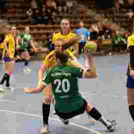 fa frauen 2 - hsg leinfelden-echterdingen 29.01.2023