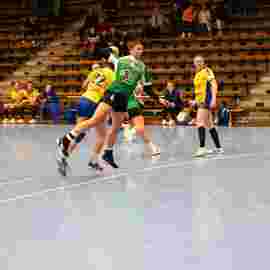 fa frauen 2 - hsg leinfelden-echterdingen 29.01.2023