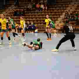 fa frauen 2 - hsg leinfelden-echterdingen 29.01.2023