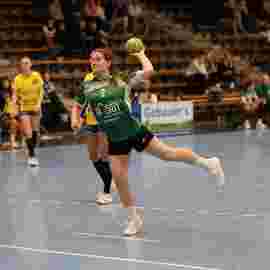 fa frauen 2 - hsg leinfelden-echterdingen 29.01.2023