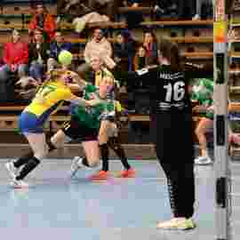 fa frauen 2 - hsg leinfelden-echterdingen 29.01.2023