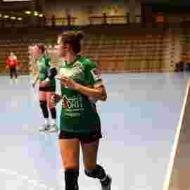 fa frauen 2 - hsg leinfelden-echterdingen 29.01.2023