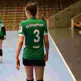 fa frauen 2 - hsg leinfelden-echterdingen 29.01.2023