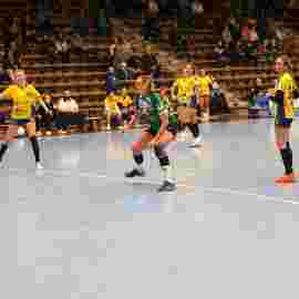 fa frauen 2 - hsg leinfelden-echterdingen 29.01.2023