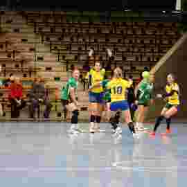 fa frauen 2 - hsg leinfelden-echterdingen 29.01.2023