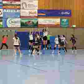 tsv heiningen 1 - fa frauen 2 22.03.2025