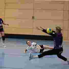 tsv heiningen 1 - fa frauen 2 22.03.2025