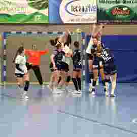 tsv heiningen 1 - fa frauen 2 22.03.2025