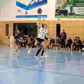 tsv heiningen 1 - fa frauen 2 22.03.2025