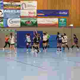 tsv heiningen 1 - fa frauen 2 22.03.2025