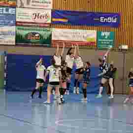 tsv heiningen 1 - fa frauen 2 22.03.2025