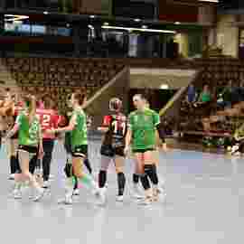 faf 2 - hc schmiden/oeffingen 25.02.2024