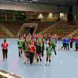faf 2 - hc schmiden/oeffingen 25.02.2024