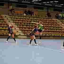 faf 2 - hc schmiden/oeffingen 25.02.2024
