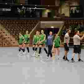 faf 2 - hc schmiden/oeffingen 25.02.2024
