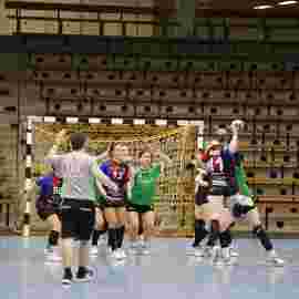 faf 2 - hc schmiden/oeffingen 25.02.2024