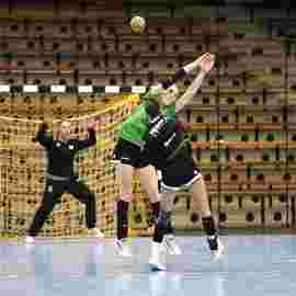 faf 2 - hc schmiden/oeffingen 25.02.2024