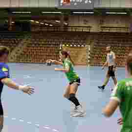 faf 2 - hc schmiden/oeffingen 25.02.2024