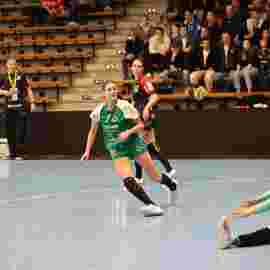 fa frauen 2 - hc schmiden/oeffingen 14.02.2026