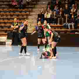 fa frauen 2 - hc schmiden/oeffingen 14.02.2026