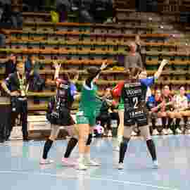 fa frauen 2 - hc schmiden/oeffingen 14.02.2026