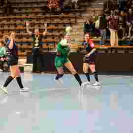 fa frauen 2 - hc schmiden/oeffingen 14.02.2026