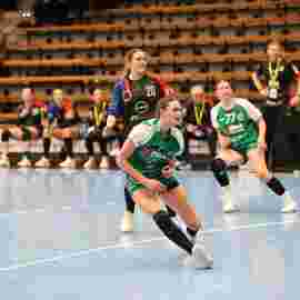 fa frauen 2 - hc schmiden/oeffingen 14.02.2026