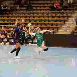 fa frauen 2 - hc schmiden/oeffingen 14.02.2026