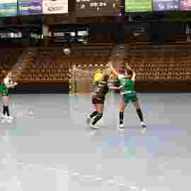 fa frauen 2 - hc schmiden/oeffingen 14.02.2026