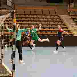 fa frauen 2 - hc schmiden/oeffingen 14.02.2026