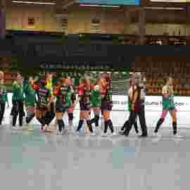 fa frauen 2 - hc schmiden/oeffingen 14.02.2026