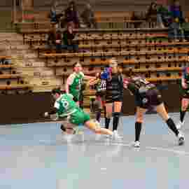 fa frauen 2 - hc schmiden/oeffingen 14.02.2026