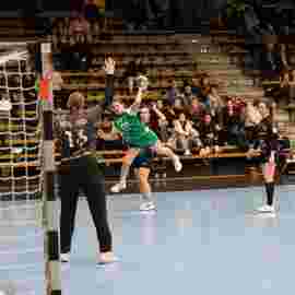 fa frauen 2 - hsg fridingen/m&uuml;hlheim 21.12.2025