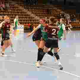 fa frauen 2 - hsg fridingen/m&uuml;hlheim 21.12.2025