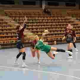 fa frauen 2 - hsg fridingen/m&uuml;hlheim 21.12.2025