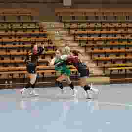 fa frauen 2 - hsg fridingen/m&uuml;hlheim 21.12.2025