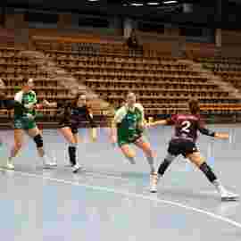 fa frauen 2 - hsg fridingen/m&uuml;hlheim 21.12.2025