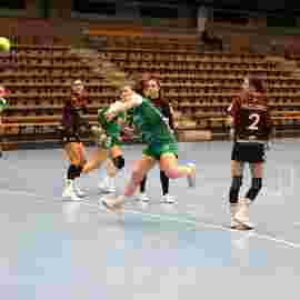 fa frauen 2 - hsg fridingen/m&uuml;hlheim 21.12.2025