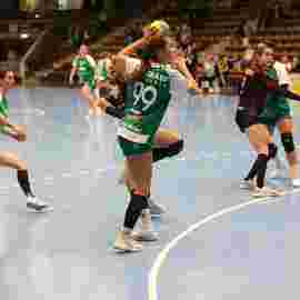 fa frauen 2 - hsg fridingen/m&uuml;hlheim 21.12.2025