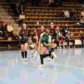 fa frauen 2 - hsg fridingen/m&uuml;hlheim 21.12.2025