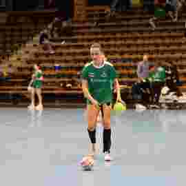 fa frauen 2 - hsg leinfelden-echterdingen 22.02.2026