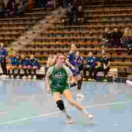 fa frauen 2 - hsg leinfelden-echterdingen 22.02.2026