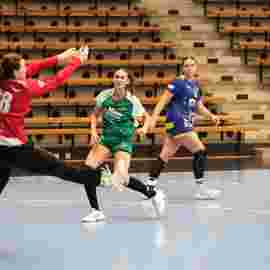 fa frauen 2 - hsg leinfelden-echterdingen 22.02.2026