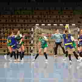 fa frauen 2 - hsg leinfelden-echterdingen 22.02.2026