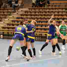 fa frauen 2 - hsg leinfelden-echterdingen 22.02.2026