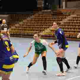 fa frauen 2 - hsg leinfelden-echterdingen 22.02.2026