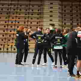 fa frauen 2 - hsg leinfelden-echterdingen 22.02.2026