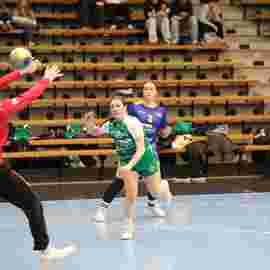 fa frauen 2 - hsg leinfelden-echterdingen 22.02.2026